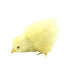 Plysch chick liten, 1 st realistisk plysch chick chick realistisk pälsfigur djur leksak påsk chick gul plysch djur plysch djur för barn spädbarn