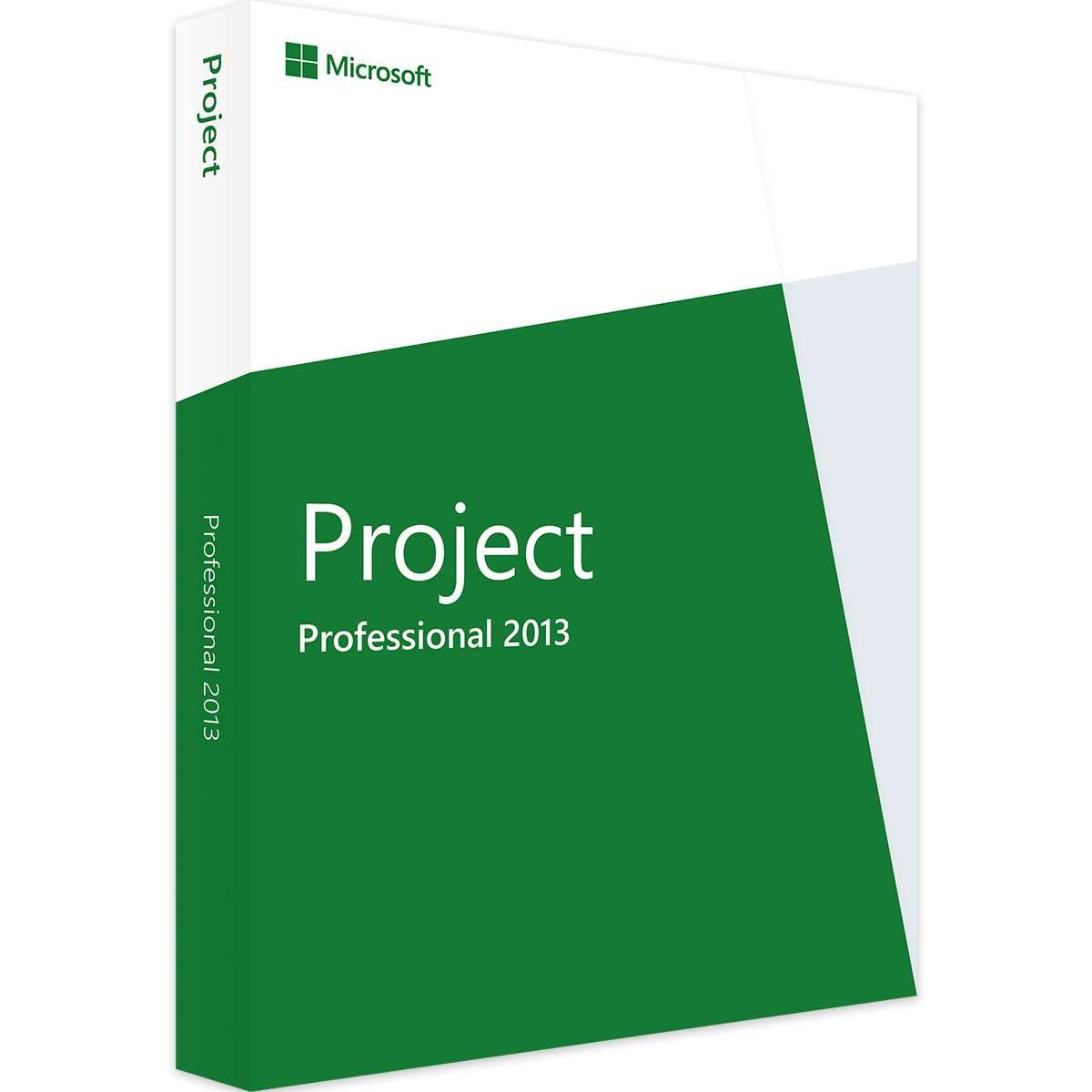 Microsoft Project Professional 2013 | Retail | Windows | 1 PC
