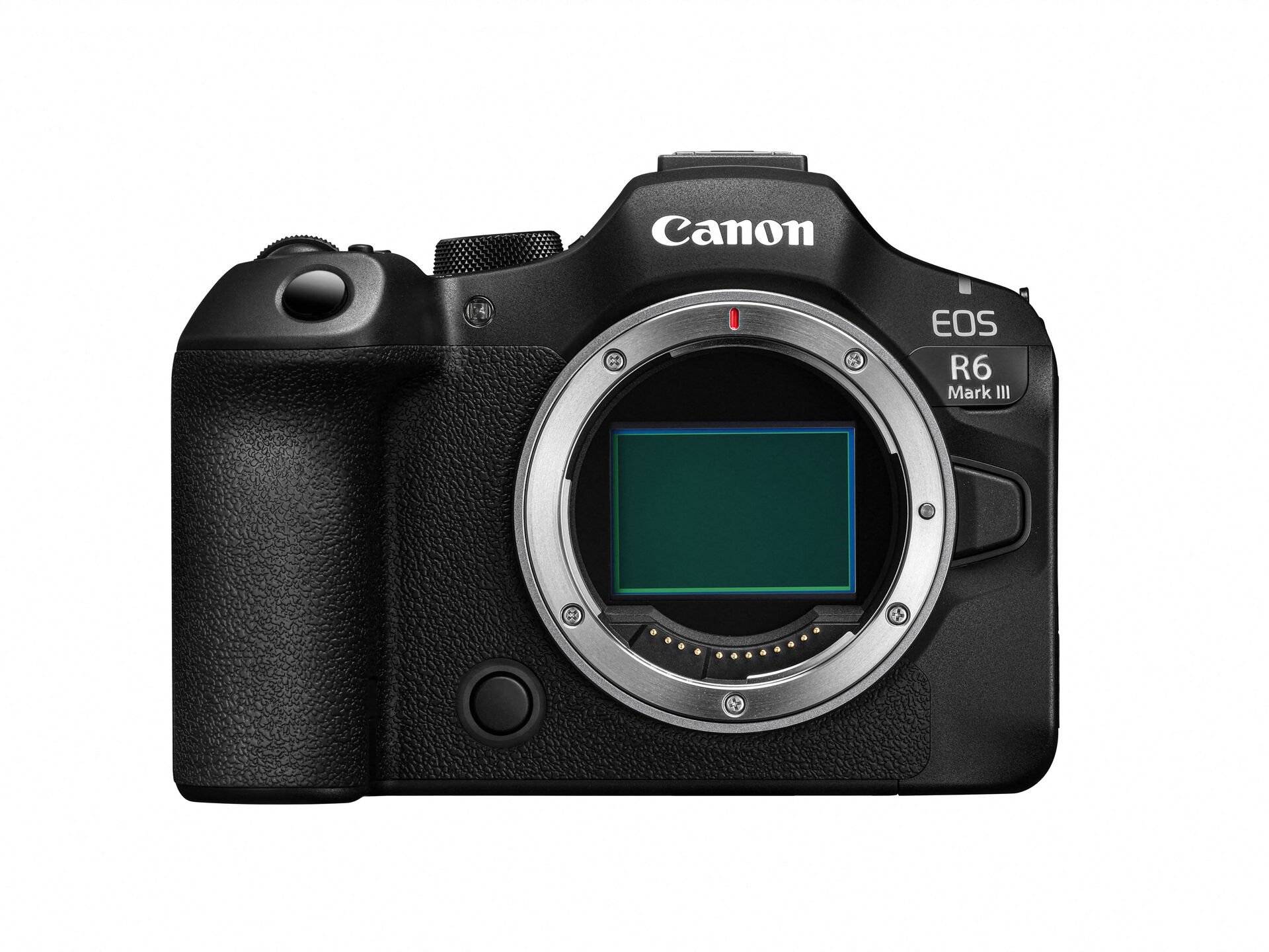 EOS R6 Mark III Body (använd)