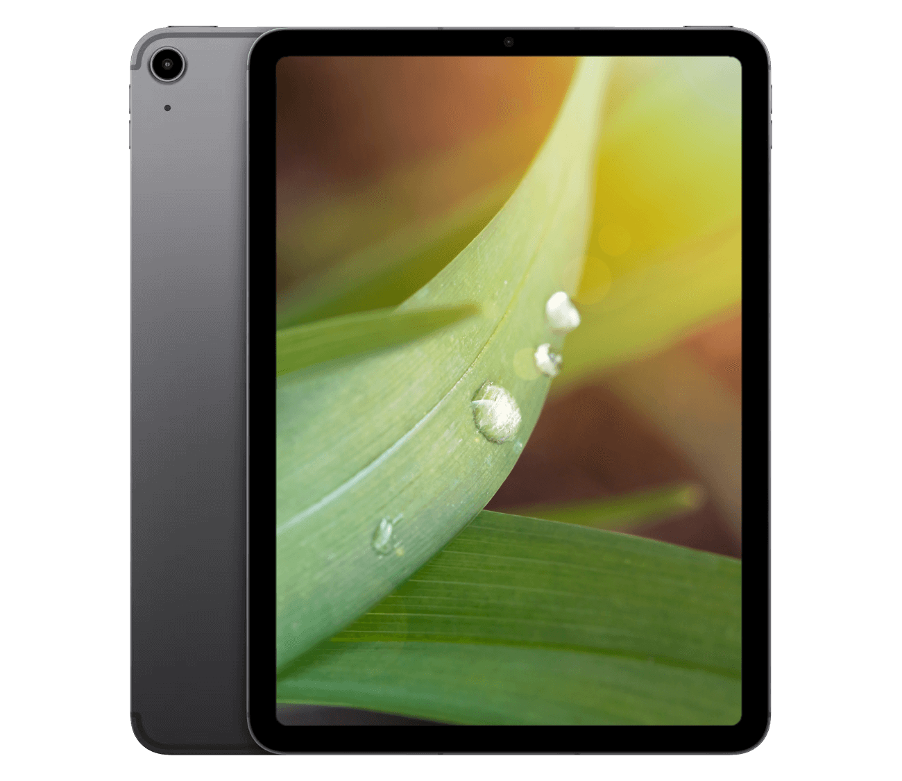 iPad Air M3 (2025) 11" WiFi + 5G