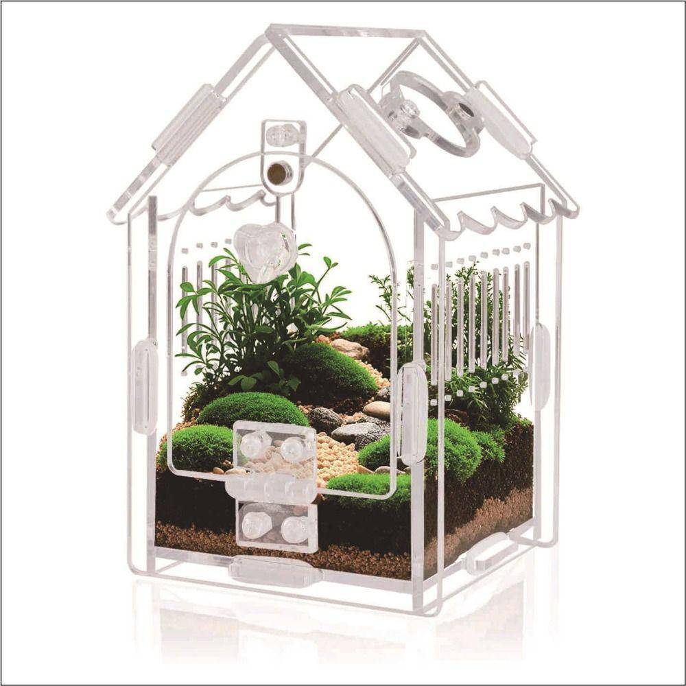 Bärbar hoppspindelbur Framsida Öppning Insekts Habitat Bur Kit Tarantula Terrarium Groda white