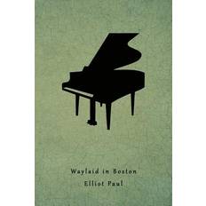 Waylaid in Boston - Elliot Paul - 9781616463427