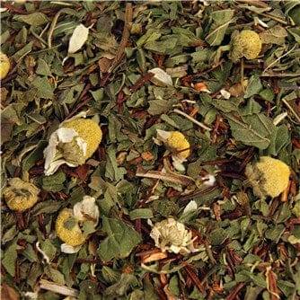 Wellness Urte Te - 100g