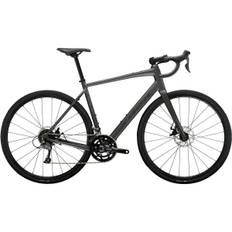 Racer Trek Domane AL 2 Gen 4 Grå 52 2024