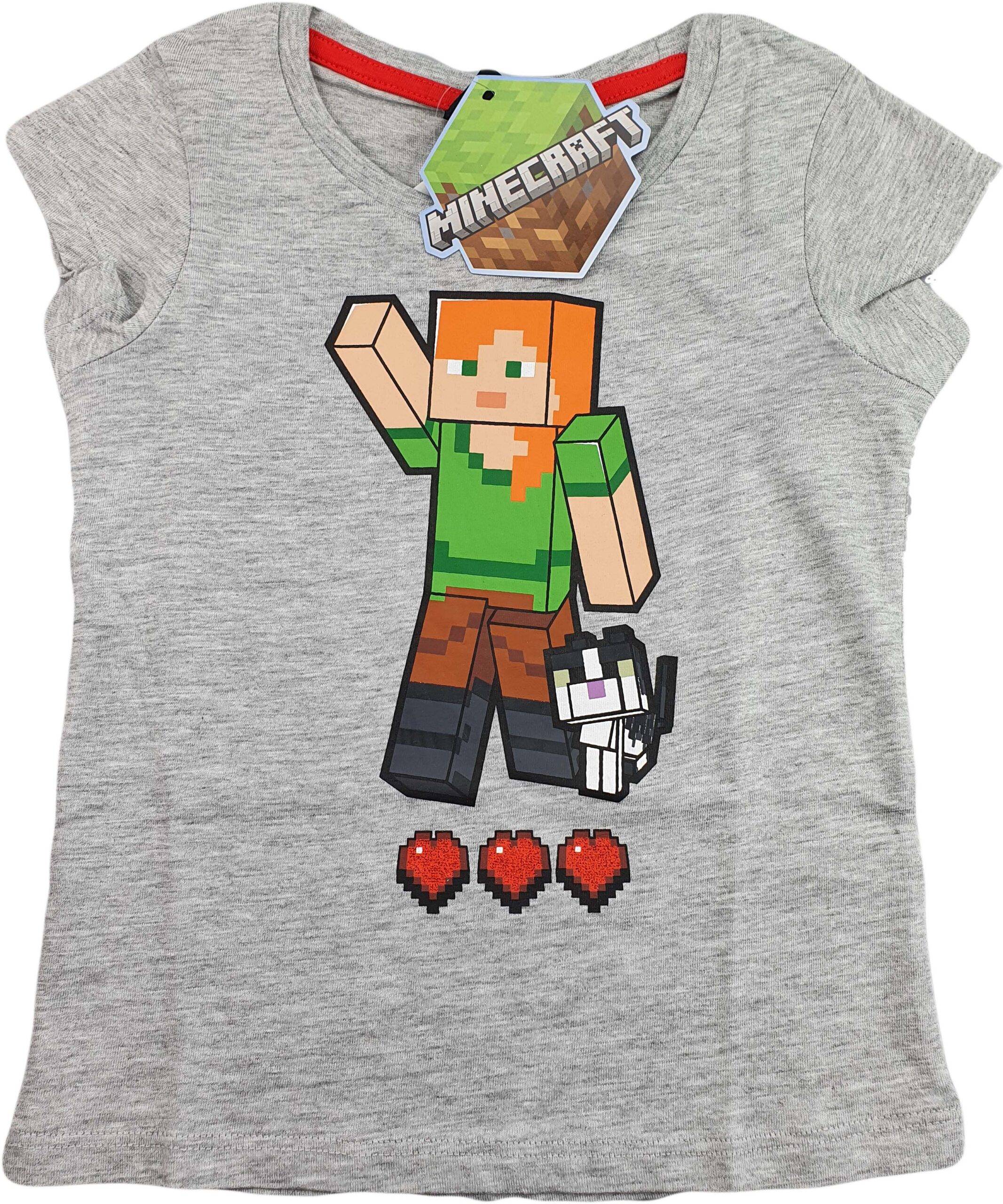 Minecraft Linne - 104