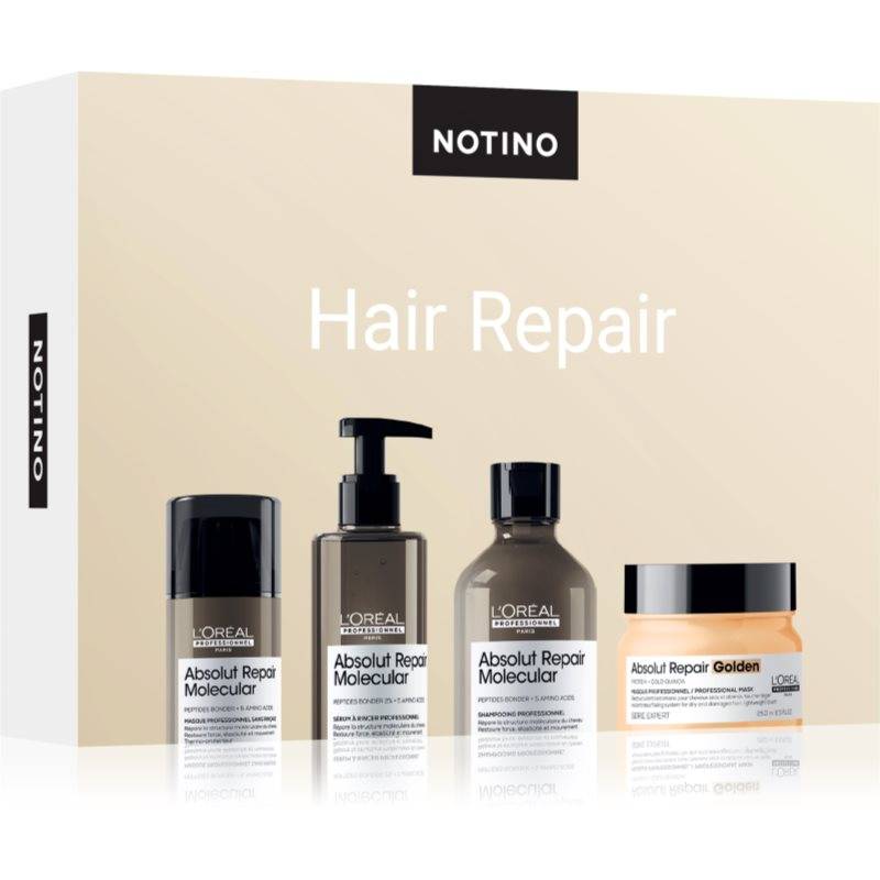 Beauty Discovery Box Notino Hair Repair (L'Oréal Professionnel) Sæt til kvinder