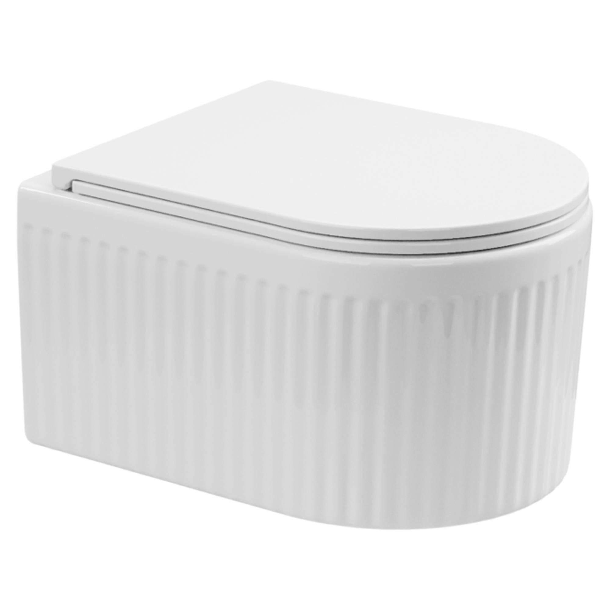 Vägghängd Toalett Relief Vit Blank