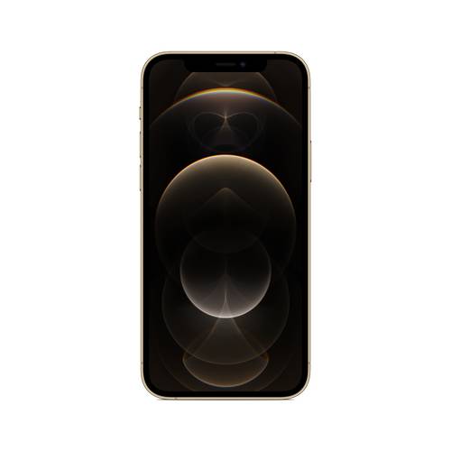 iPhone12Pro 256GB Gold Gr.A
