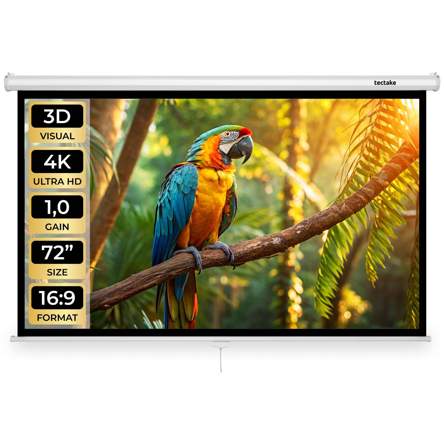 Projektionsduk Cinema, 16:9, 4K, HD, för vägg eller tak - 160 x 90 cm