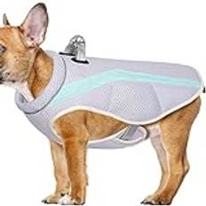 Hund kyljacka - Dog Cooling Coat Jacka Väst,Sommarkyljacka för husdjur, solskydd Andas husdjursväst för små medelstora hundar som tränar utomhusvandring Jildouf