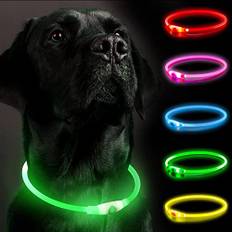 Ljushalsband hund, hundhalsband lysande uppladdningsbar, LED-halsband för hundar, ljusband hund justerbar storlek hundar lysande halsband säkerhet för din hund på natten (Green2)