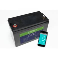 LiFePO4 batteri, BMS 12V, 100Ah (100A BMS) Med frostsikring
