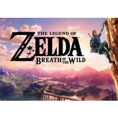 The Legend of Zelda: Breath of the Wild (Nintendo Switch) Nintendo Account - GLOBAL