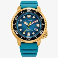 Citizen Mens Promaster Diver Eco-Drive Teal Watch BN0162-02X