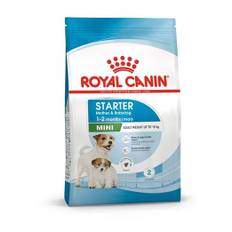 Royal Canin Mini Starter Tørfoder til Hvalp 8 kg.