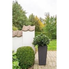 Utekruka Margie Konstrotting 70X34Cm Svart