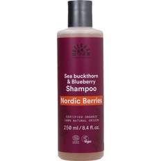 Urtekram Nordic Berries Shampoo - 250 ml