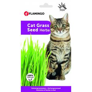 Kattgräs. Förpackning: 6 x 100 g
