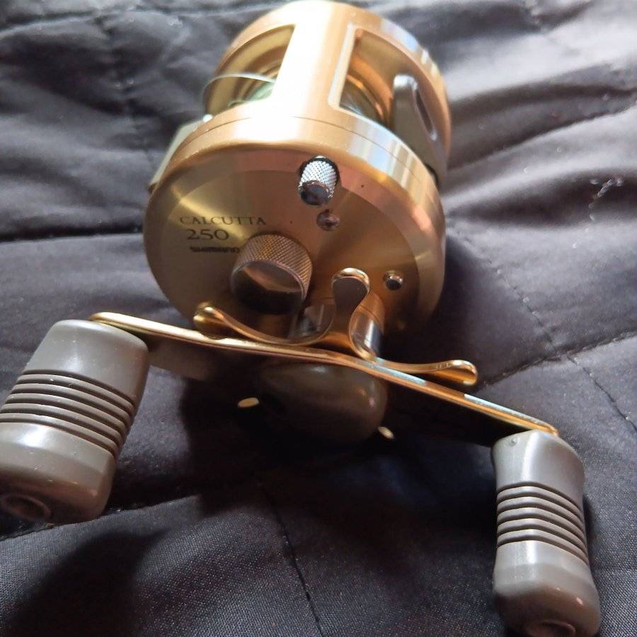 Shimano "Calcutta 250"