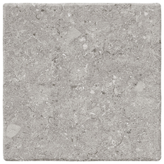 Klinker Vicentina XXS Tortora 22x22