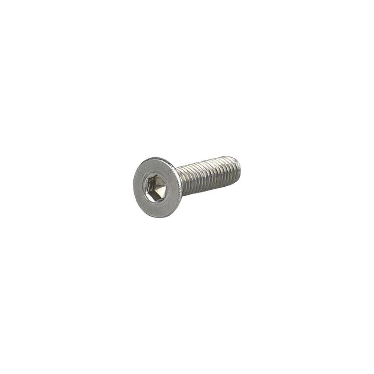 Trek Ram Bolt M4 x 0.7 x 16mm - Svart