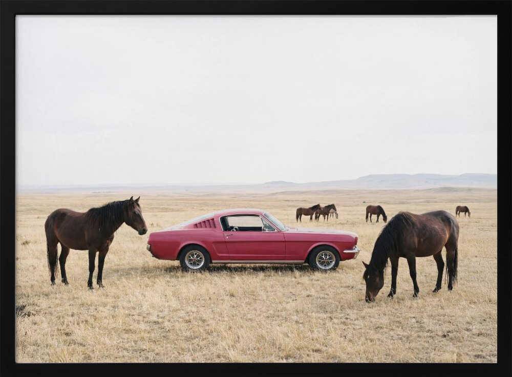 Wild Plains Poster - 40x30 cm / 16x12″