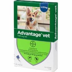 Advantage til hund 25-40 kg.