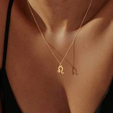 Mode Zodiac Halsband Kvinnor Klassiskt Kedja Halsband För Kvinnor - Stil 4 (Väduren,Oxen,Tvillingarna,Cancer,Leo,Virgo,Vågen,Skorpionen,Skytten,Stenbocken,Vattumannen,Fiskarna)