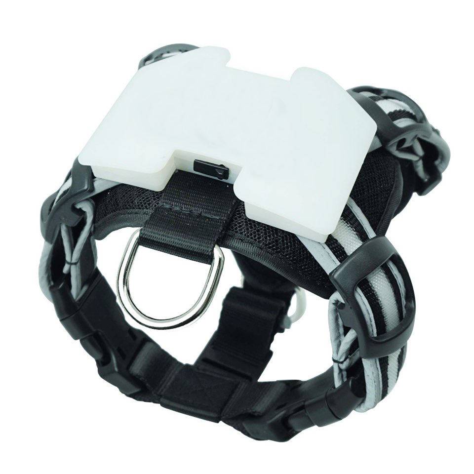 Lysande Hundsele - Justerbar Sele med LED-ljus - S