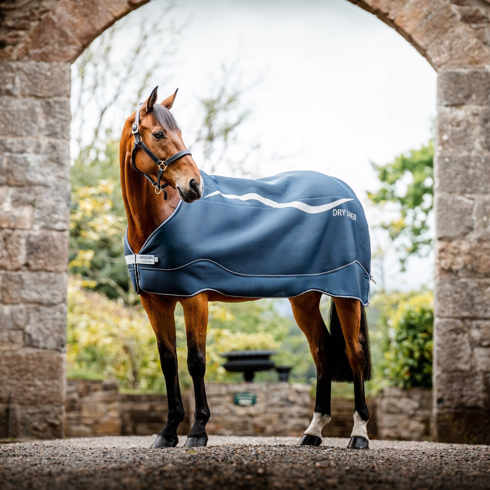 Horseware Dry Liner, Horseware
