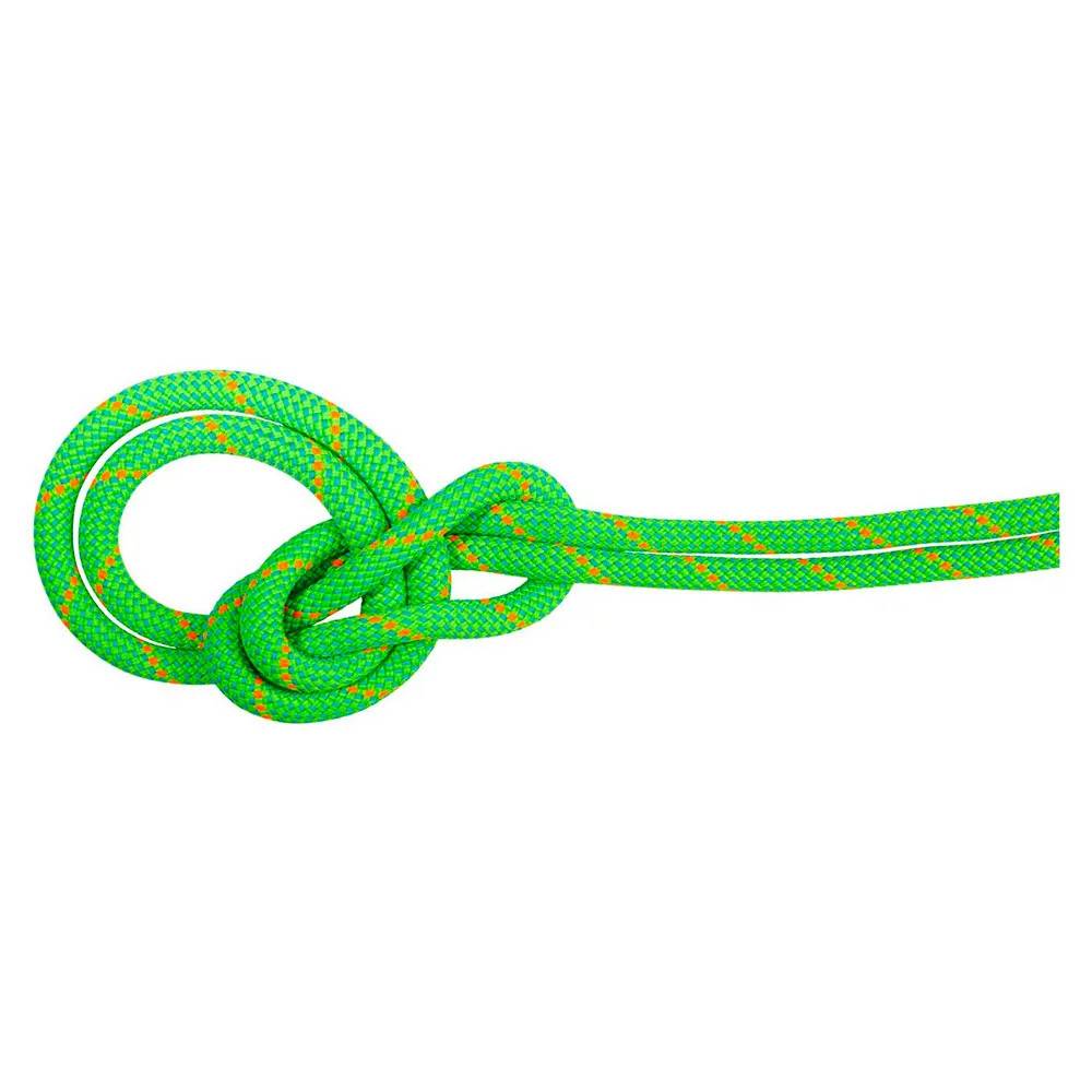 Mammut 9.5 Mm Crag Dry 40 M Reb