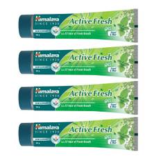 Himalaya Active Fresh Multi Action Gel Toothpaste 80G Pack Of 4 Herbal Oral Care For Fresh Breath Gum Health Daily Use