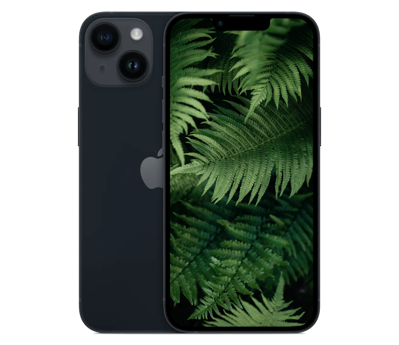 iPhone 14