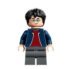 LEGOÂ® - Harry Potter - hp380 - Harry Potter I (76405)