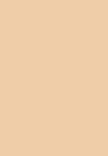 MASK FIT RED CUSHION - Foundation - 21W - Natural Ivory