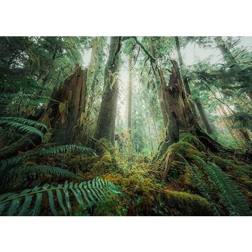 1000 bitar - Stefan Hefele, Nature edition, In the forest