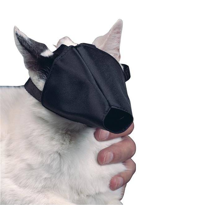 BUSTER munkorg katt