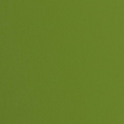 Cardstock Florence - Canvas - Fern