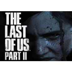 The Last Of Us Part 2 - Preorder Bonus DLC EU PS5 CD Key