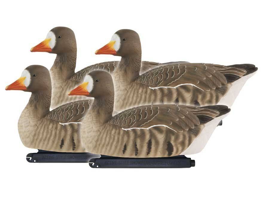 4 Grågæs flydende aktive