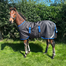 AMIGO RIPSTOP FOAL RUG 9 200GR