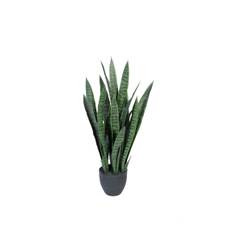 Kunstig plante Svigermors tunge inkl. sort krukke
