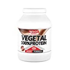 WHY SPORT VEGETAL 100 % PROTEIN - Vegetabiliskt protein – Protein i Pulver – Ärt- och risprotein – Kakao smak – 750 g