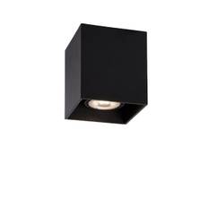 Lucide - Bodi - Spotlight