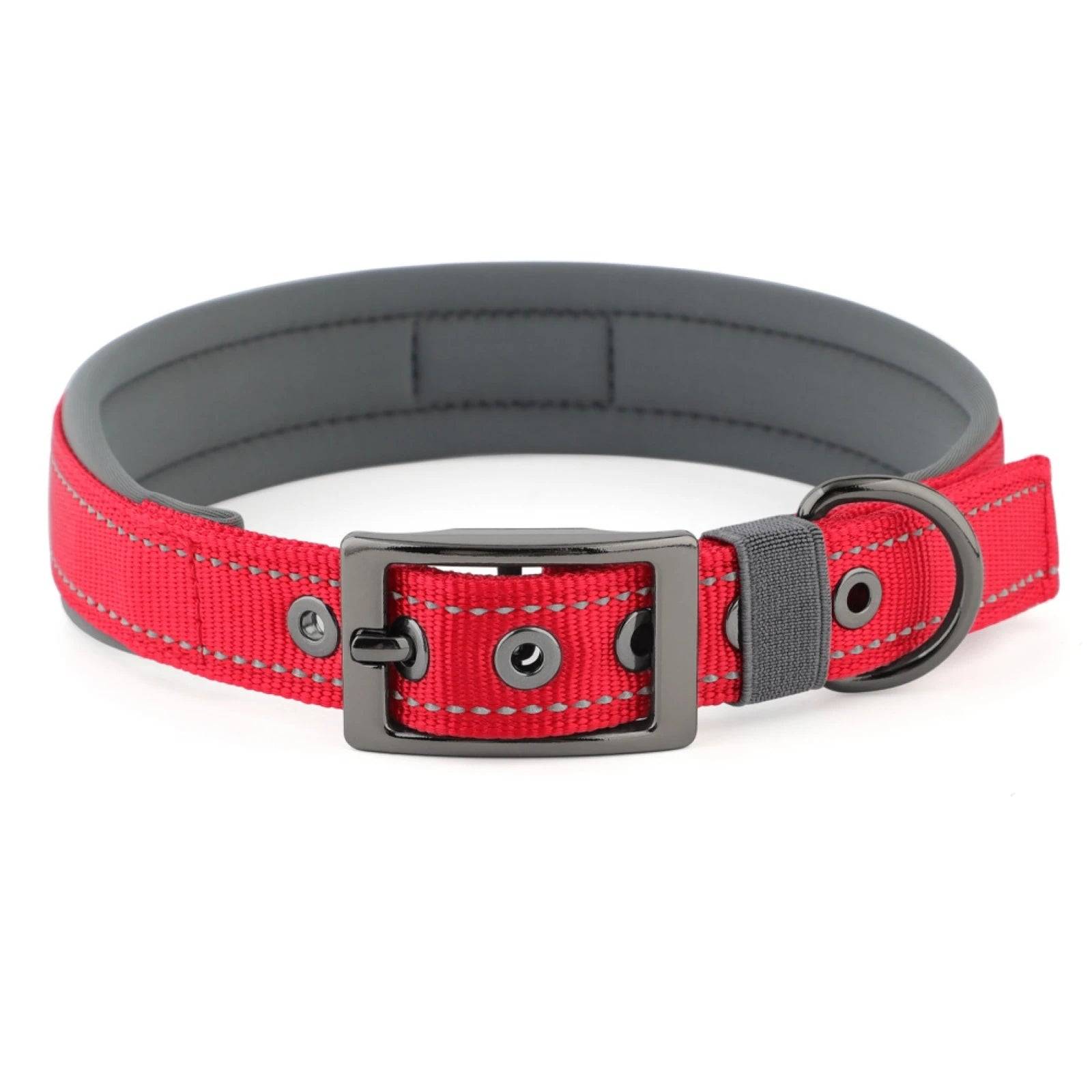Neoprene Padded Reflective Dog Collar with Metal Buckle - Red / M / SP