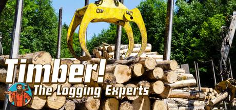 Timber! The Logging Experts (PC) - Standard