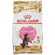 Royal Canin kattfoder Feline Kitten Maine Coon 36, 10 kg, 1-pack (1 x 10 kg)