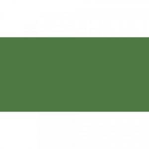 Caran d'Ache NeoColor II Cromium Oxid Green Vaxakvarellkrita