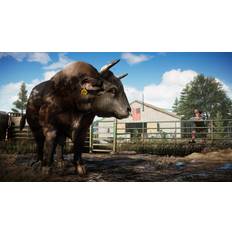 Far Cry 5 XBOX One CD Key