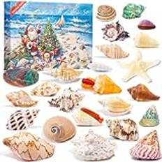 Adventskalender 2024 kristaller för barn med 24 dagar julnedräkning, naturliga stenstenar och mineraler för att utforska, lärande, vetenskaplig julklapp för flickor och pojkar (adventskalender)